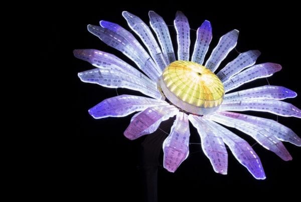 Electric Daisy Art Installation by Poetic Kinetics