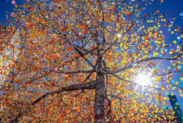 Upward view of Aspen Light’s multicolored kinetic leaf canopy against a bright blue Denver sky, part of the city’s permanent large-scale kinetic public art collection.